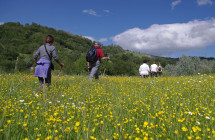 In Emilia Romagna che estate in Appennino con gli originali trekking e la musica in alta quota di Itinerando ed Eco della Musica