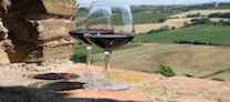 Wine Food Festival 2013: tutti a tavola con Coppa Piacentina, Tartufo, Sangiovese e Ortrugo