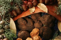 Ottobre tra ciccioli “balsamici” e tartufo nero al Wine Food Festival 2013