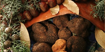 Ottobre tra ciccioli “balsamici” e tartufo nero al Wine Food Festival 2013