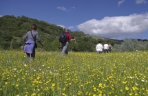 Itinerando Emilia Romagna: un anno da vivere a tutta natura tra escursioni, ciaspolate, trekking e mtb