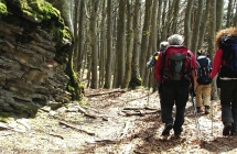 Il 2 giugno in Emilia Romagna è la Giornata Verde Trekking, escursioni, uscite in bici e in barca