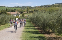 Un giornalista tedesco ed uno spagnolo in un biketour sulle strade di Pantani