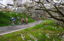 L’ex campione Hinault testimonial di un bike tour  che culminerà nella Gran Fondo del Sale di Cervia