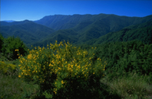 Si rinnova l’accordo triennale tra Parco Foreste Casentinesi e Apt Servizi ER