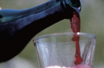 Sei reporter europei alla scoperta delle Terre del Lambrusco Reggiano