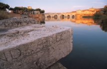 Buy Emilia Romagna, Rimini protagonista: Eductour con 14 tour operator mondiali
