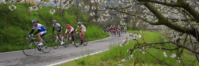 Cicloturismo in Emilia Romagna: a  Cervia l’edizione 2018 della Gran Fondo Via del Sale con giornalisti, blogger e influencer