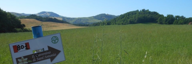 Tutti in marcia “I love Cammini Emilia Romagna” 12 passeggiate con la guida, gratuite, tra boschi e pievi