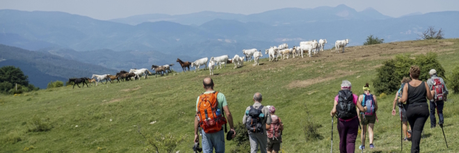 Sabato e domenica passeggiate a Bologna e Brisighella  con “I love Cammini Emilia Romagna”