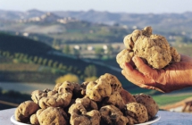 Parte l’autunno enogastronomico in Emilia-Romagna