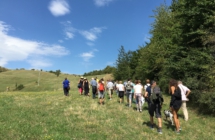 In Emilia Romagna cultura fa rima con natura:  tante location “green” per concerti, spettacoli e incontri