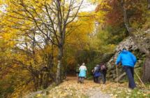 Foliage d’autunno nei boschi e parchi dell’Emilia Romagna:  turismo slow da scoprire a piedi, in bici e in treno