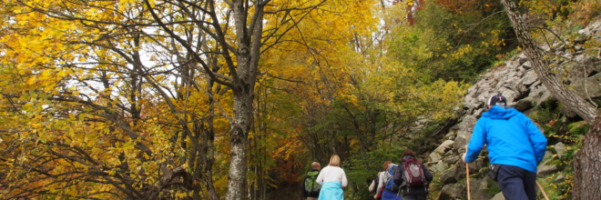 Foliage d’autunno nei boschi e parchi dell’Emilia Romagna:  turismo slow da scoprire a piedi, in bici e in treno