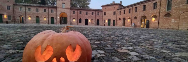 Halloween in Emilia Romagna: tra foreste notturne, misteriosi castelli, zucche magiche e divertimento nei Parchi