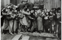 Una Pasqua di mostre in Emilia-Romagna tra pittura, cinema, fotografia, ceramica e collezionismo