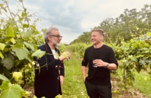 Promozione turistica sul web per il mercato tedesco: Tom Wlaschiha  Da Trono di Spade e Stranger Things racconta la Romagna più vera in 5 video
