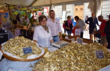 Porcini, Piadina, vini Doc, polenta, castagne, tortelli, Pesce Azzurro… un autunno enogastronomico da non perdere in Emilia Romagna