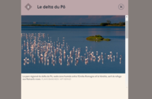 Il Parco del Delta del Po unica meta italiana  nelle 20 migliori destinazioni del 2023 per Le Monde