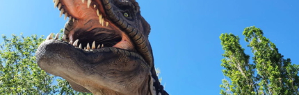 Show, musical, mostre interattive e incontri con animali selvatici: A Pasqua tante novità nei Parchi Divertimento della Romagna