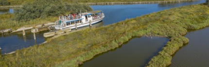 “Giornata Verde” 2023: dal Ponte del 2 giugno e per tutta l’estate,  100 eventi en plein air tra parchi, oasi e Castelli dell’Emilia-Romagna