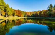 Andare “per foliage” in Emilia-Romagna Otto passeggiate nel grande spettacolo dei boschi d’autunno