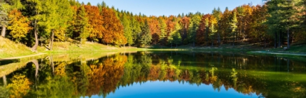 Andare “per foliage” in Emilia-Romagna Otto passeggiate nel grande spettacolo dei boschi d’autunno