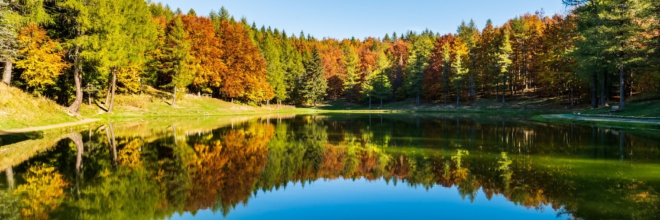 Andare “per foliage” in Emilia-Romagna Otto passeggiate nel grande spettacolo dei boschi d’autunno