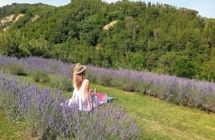 Giornata Verde 2025: dal ponte del 2 giugno e per tutta l’estate  picnic, birdwatching, gite in canoa, camminate con gli alpaca e castelli