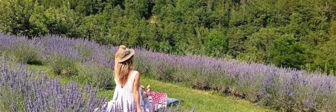 Giornata Verde 2025: dal ponte del 2 giugno e per tutta l’estate  picnic, birdwatching, gite in canoa, camminate con gli alpaca e castelli
