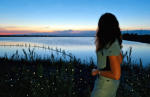 Per San Lorenzo in Emilia-Romagna lungo i Cammini di Notte:  a caccia di stelle tra escursioni, esperienze sensoriali, concerti e picnic