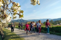 PASSI E PAROLE DI VINO 2026