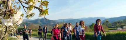 PASSI E PAROLE DI VINO 2026