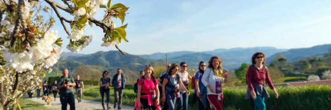 PASSI E PAROLE DI VINO 2026