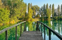 Un tuffo nell’acqua più “green”: le biopiscine 5 indirizzi tra Reggio Emilia e il Forlivese
