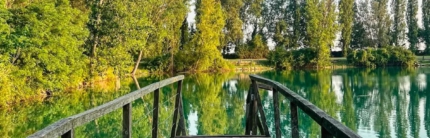 Un tuffo nell’acqua più “green”: le biopiscine 5 indirizzi tra Reggio Emilia e il Forlivese