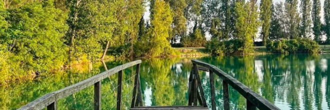 Un tuffo nell’acqua più “green”: le biopiscine 5 indirizzi tra Reggio Emilia e il Forlivese