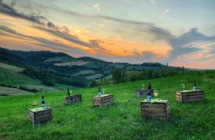 Ferragosto in Emilia-Romagna: dalla Riviera all’Appennino tra eventi, natura, cultura e buona tavola