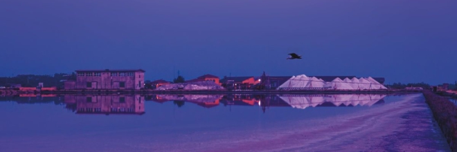 Il Delta del Po si racconta con Lonely Planet Al TTG svelata la nuova mini guida Lonely Planet dedicata al Delta del Po